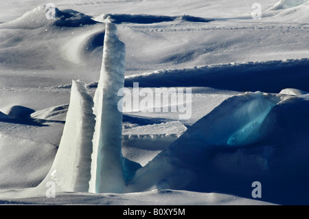 E belle bizzarro Antartico pack ice floes che riflette il sole, Antartide, Suedpolarmeer, Mare di Weddell Foto Stock