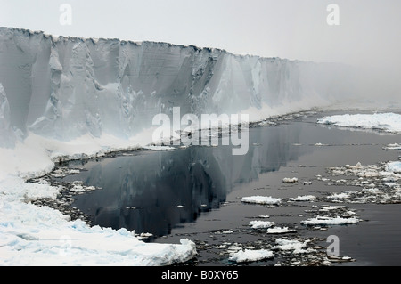 Il ghiaccio antartico ripiano nella nebbia di mattina, l'Antartide, Suedpolarmeer Foto Stock