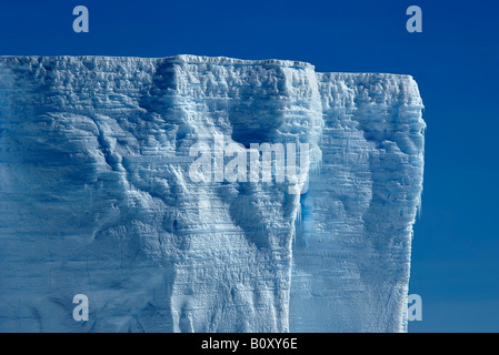 Parete di iceberg in Antartide, Antartide, Suedpolarmeer Foto Stock