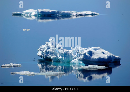 Bella ice floes riflettendo in calme acque antartiche, Antarctis, Suedpolarmeer, Weddellmeer Foto Stock