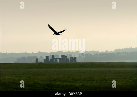 STONEHENGE WILTSHIRE REGNO UNITO GRAN BRETAGNA con uccello all'alba 2008 Foto Stock