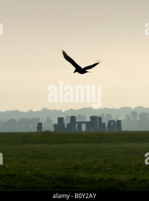 STONEHENGE WILTSHIRE REGNO UNITO GRAN BRETAGNA con uccello all'alba 2008 Foto Stock