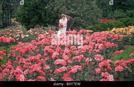 Un giovane cinese di sposarsi in mezzo ai fiori del Giardino Botanico del Parco Olimpico di Montreal Foto Stock