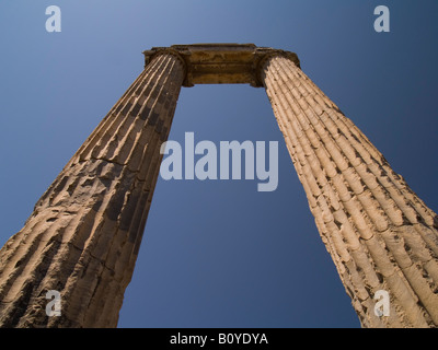 Iconico colonne del Tempio di Apollo Foto Stock