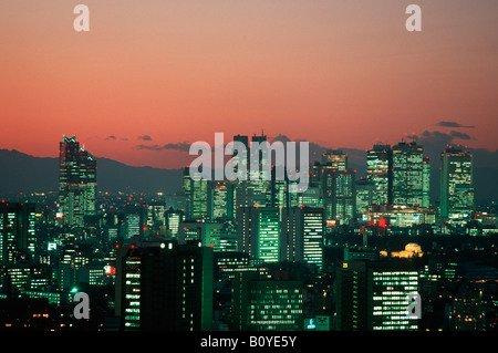 Skyline di Tokyo, area di Shinjuku, Giappone, Tokio Foto Stock