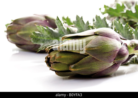 Carciofi con foglie, close-up Foto Stock