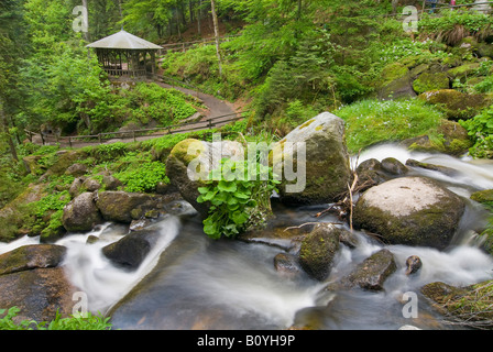 Germania, Schwarzwald, Triberg, cascata Foto Stock