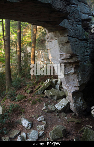 Split arco di prua, grande sud Forcella Fiume Nazionale e area ricreativa, Kentucky Foto Stock