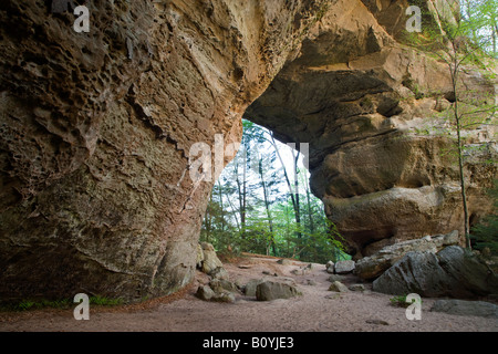 Arco a sud delle due arcate gemelle, grande sud Forcella Fiume Nazionale e area ricreativa, Tennessee Foto Stock