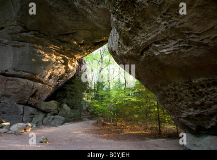 Arco a sud delle due arcate gemelle, grande sud Forcella Fiume Nazionale e area ricreativa, Tennessee Foto Stock