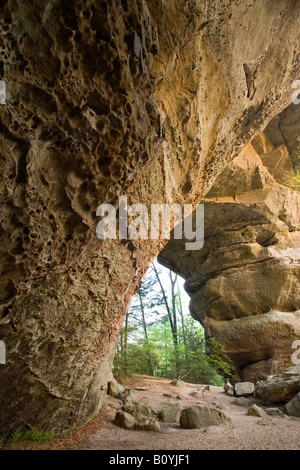 Arco a sud delle due arcate gemelle, grande sud Forcella Fiume Nazionale e area ricreativa, Tennessee Foto Stock