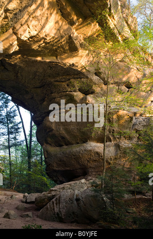 Arco a sud delle due arcate gemelle, grande sud Forcella Fiume Nazionale e area ricreativa, Tennessee Foto Stock