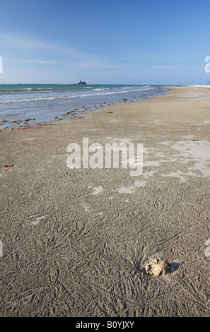 Sentieri del granchio nella sabbia sulla spiaggia deserta, Pulau Labuan, Sabah Malaysian Borneo Foto Stock