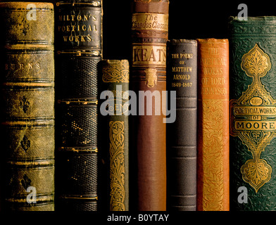 Antiquario vecchi libri di poesia Foto Stock