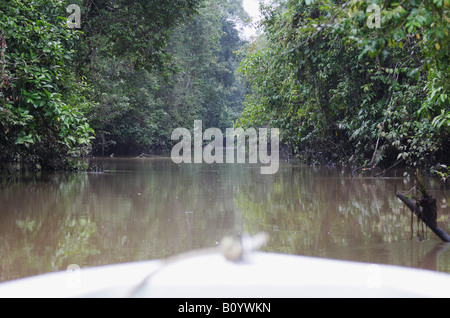 Gita in barca lungo il fiume nella giungla, Sukau, Sabah Malaysian Borneo Foto Stock