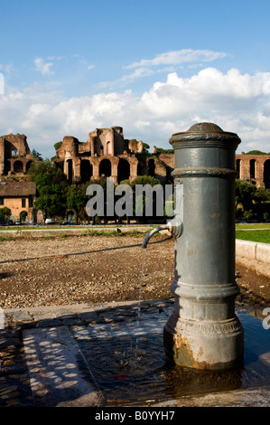 Nasone (Tipica fontana romana) nella parte anteriore del Palatino a Roma, Italia Foto Stock