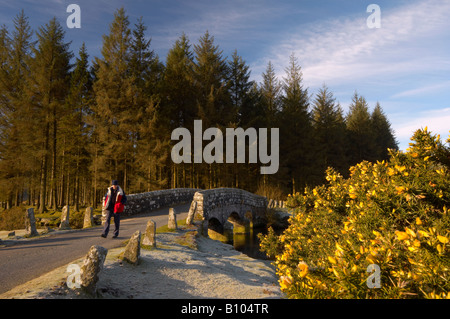 Un viandante attraversa la East Dart River oltre la pietra vecchio ponte stradale a Bellever su un freddo gelido inverno mattina Dartmoor REGNO UNITO Foto Stock