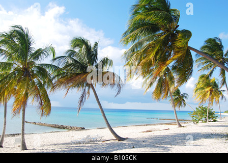 La spiaggia di Maria La Gorda Foto Stock