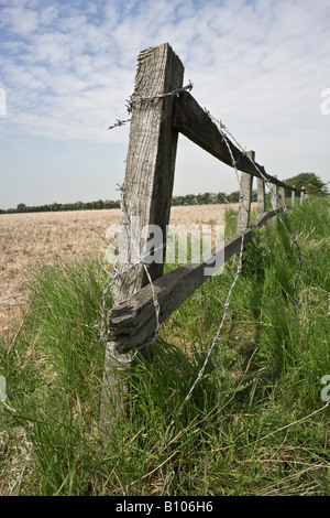 Una recinzione fatiscente su terreno coltivato con filo spinato, Suffolk, Regno Unito Foto Stock