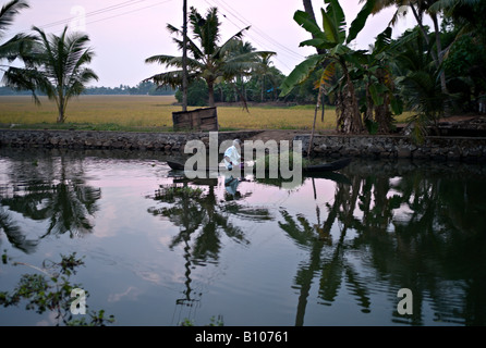 INDIA Kerala agricoltore indiano con una barca a remi pieno di erba che egli è il canottaggio lungo i canali nelle lagune del Kerala al tramonto Foto Stock