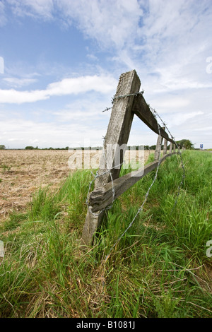 Una recinzione fatiscente su terreno coltivato con filo spinato, Suffolk, Regno Unito Foto Stock