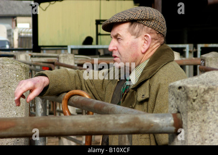 Agricoltore Newport Mercato del Bestiame Foto Stock