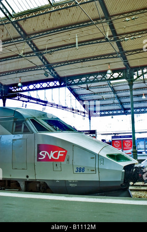 Tolosa Francia, dettaglio, Vista laterale, Logo, TGV treno ad alta velocità French Bullet nella storica stazione ferroviaria di 'Toulouse Matabiau' Foto Stock