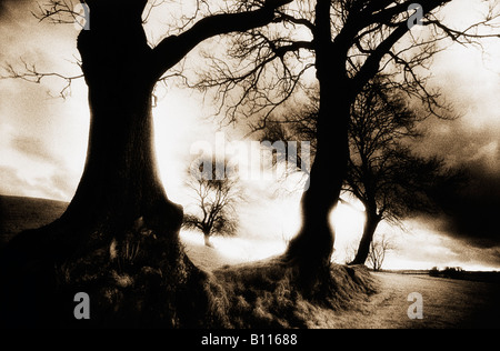 Navan Fort, nella contea di Armagh, Irlanda del Nord Foto Stock