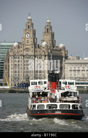 La città di Liverpool, in Inghilterra. Il Traghetto Mersey Royal Daffodil passando il Royal Liver Building sul fiume Mersey. Foto Stock