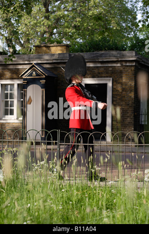 Welsh guardsman sul dovere al Clarence House London Inghilterra England Foto Stock