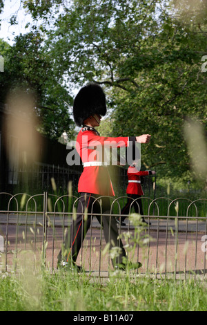 Welsh guardie sul dovere al Clarence House London Inghilterra England Foto Stock