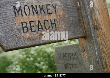 Una scimmia beach sine post in mersea essex Foto Stock