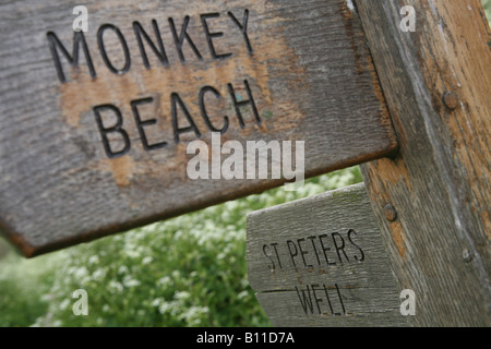 Una scimmia beach sine post in mersea essex Foto Stock