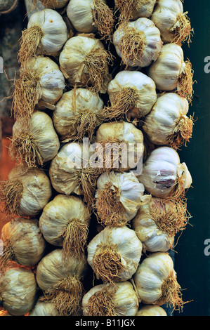 Treccia di aglio Foto Stock