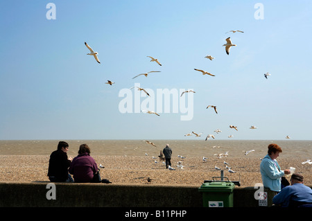 Regno Unito Inghilterra Suffolk Aldeburgh gabbiani intorno persone mangiare pesce e patatine sulla spiaggia Foto Stock