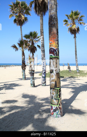 Graffiti sulle palme in Venice Beach in California Foto Stock