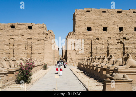 Modo processionale e l'ingresso al quartiere di Amon, il Tempio di Karnak e Luxor, la Valle del Nilo, Egitto Foto Stock