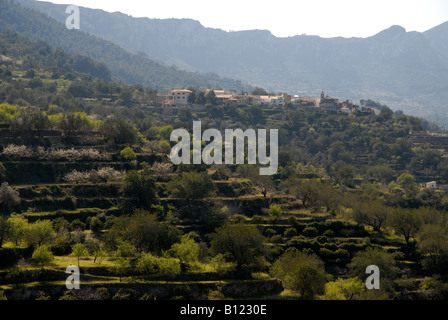 Terrazze di montagna e il villaggio di Benirrama, Vall de Gallinera, Marina Alta, Provincia di Alicante, Comunidad Valenciana, Spagna Foto Stock