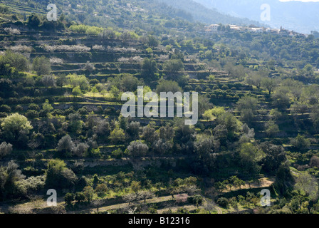 Terrazze di montagna e il villaggio di Benirrama, Vall de Gallinera, Marina Alta, Provincia di Alicante, Comunidad Valenciana, Spagna Foto Stock