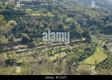 Vista di terrazze di montagna vicino Benirrama, Vall de Gallinera, Marina Alta, Provincia di Alicante, Comunidad Valenciana, Spagna Foto Stock