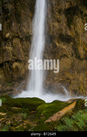 Una lunga esposizione immagine della piccola cascata e appassiti tronco a Mali Prstavac, il Parco nazionale di Plitvice in Croazia, superiore zona dei laghi Foto Stock