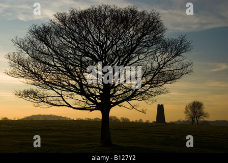 Il mulino di Nero è i resti di un mulino a vento che è stato eretto su Beverley Westwood. Foto Stock