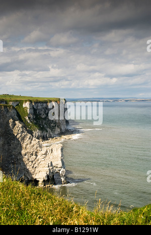 Bempton Cliffs sulla North Yorkshire coast Foto Stock