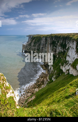 Chalk cliffs vicino bempton nel North Yorkshire Foto Stock