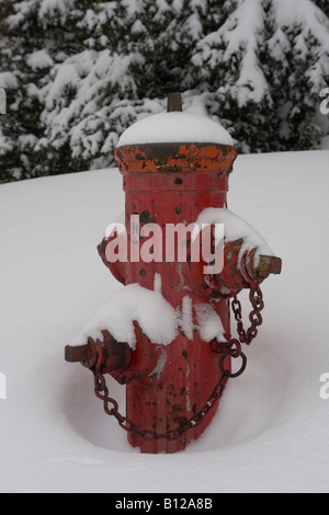 Le conseguenze di una forte tempesta di neve il 9 marzo 2008 nei sobborghi di Montreal, Quebec, Canada. Foto Stock