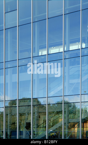 Moderno con facciata di vetro ufficio edificio esterno con alberi riflessa sulla superficie Foto Stock