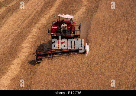 Italia, Basilicata, Roccanova, raccolta del grano Foto Stock