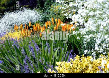 Estate mista confine di fiori in un paese di lingua inglese giardino in stretta fino Foto Stock