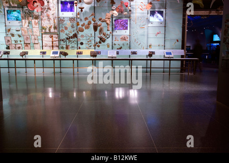 BIO DIVERSITÀ HALL Museo Americano di Storia Naturale MANHATTAN NEW YORK CITY USA Foto Stock
