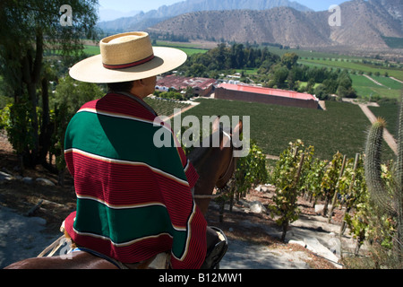 HUASO INDOSSANDO CHUPALLA HAT DON MAXIMIANO STATION WAGON VINA ERRAZURIZ Cantina Valle di Aconcagua CILE Foto Stock